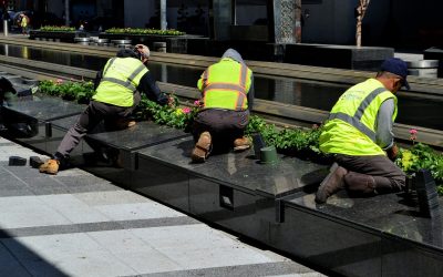 Pourquoi confier votre jardin à un paysagiste ?