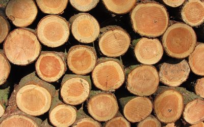 Une charpente traditionnelle en bois pour la beauté de votre maison