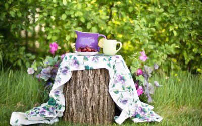 Comment s’occuper à fond de son jardin ?