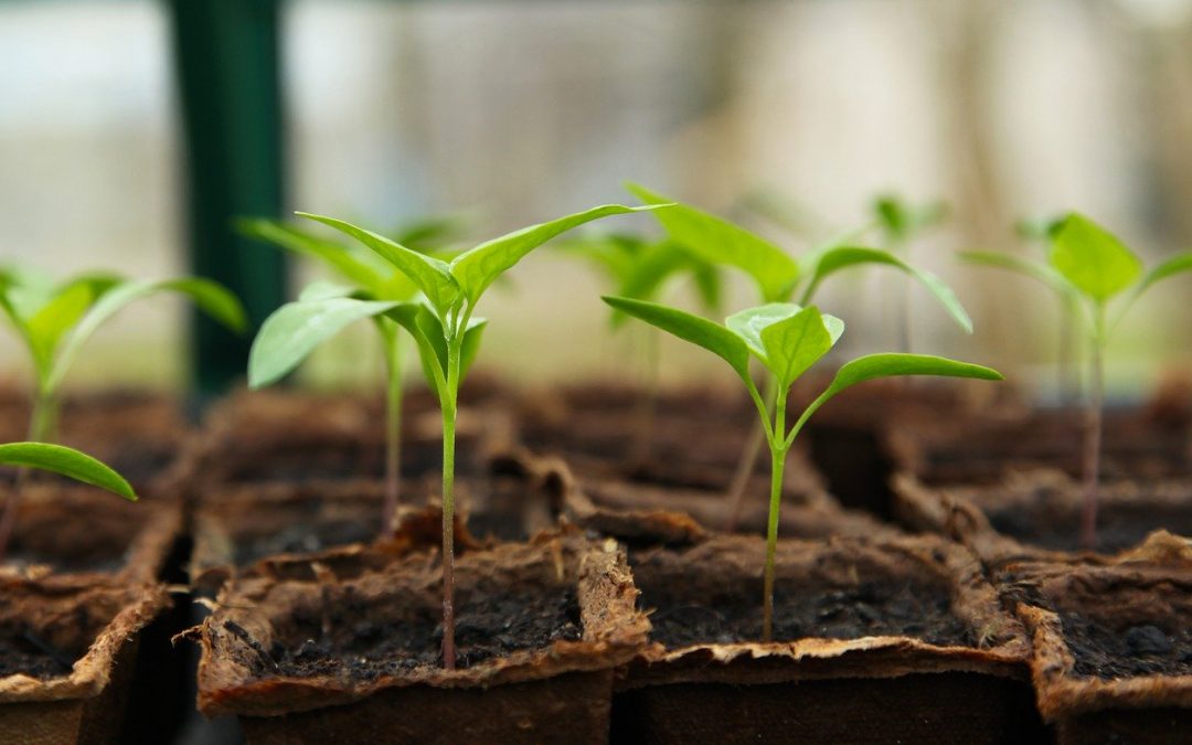 Faire de l'agriculture de temps à autre.